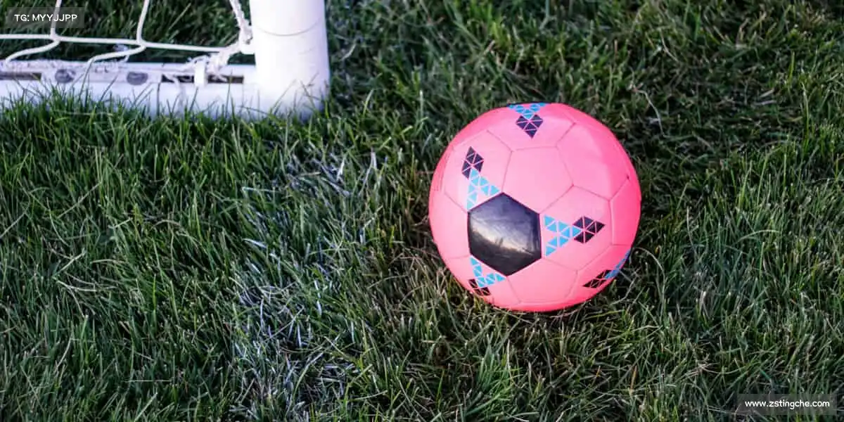 为什么选择我们